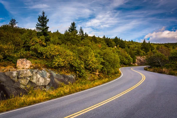 La route vers la montagne Caddilac, dans le parc national Acadia, dans le Maine . — Photo