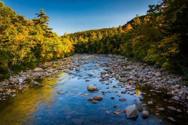 Swift řeka v Bílé hoře National Forest, nové Hampshir — Stock fotografie