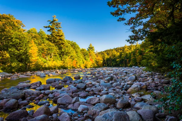 Der schnelle Fluss, in weißem Bergwald, neue Hindernisse — Stockfoto