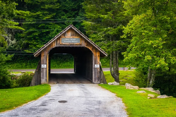 Will Henry Stevens Covered Bridge Highlandsissa, Pohjois-Carolissa — kuvapankkivalokuva