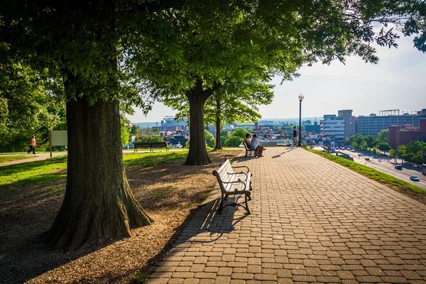 Trees and benches along a path at Federal Hill Park, Baltimore, — Stock Photo, Image