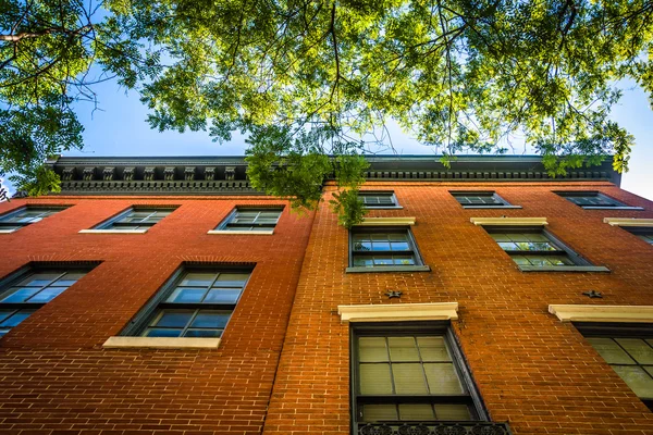 Trees and old brick buildings in Mount Vernon, Baltimore, Maryla — Stock Photo, Image