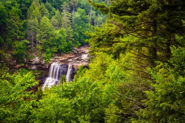 View of Blackwater Falls from the Gentle Trail, at Blackwater Fa — Stock Photo, Image