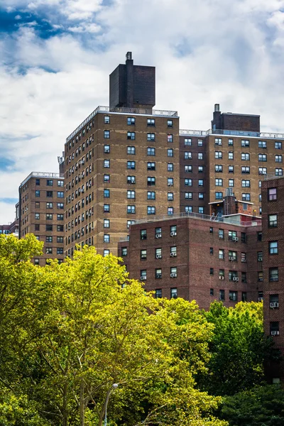 Vista de edificios desde la High Line, en Manhattan, Nueva York . — Foto de Stock