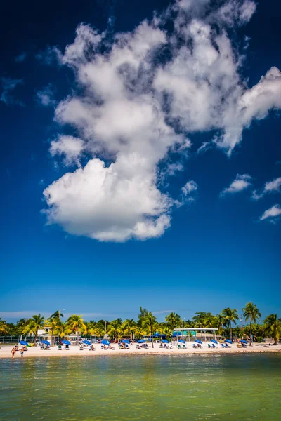 Widok na plażę w Key West na Florydzie. — Zdjęcie stockowe