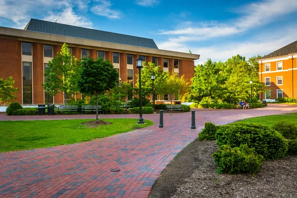 Gehwege und Gebäude an der john hopkins universität in baltimore, — Stockfoto