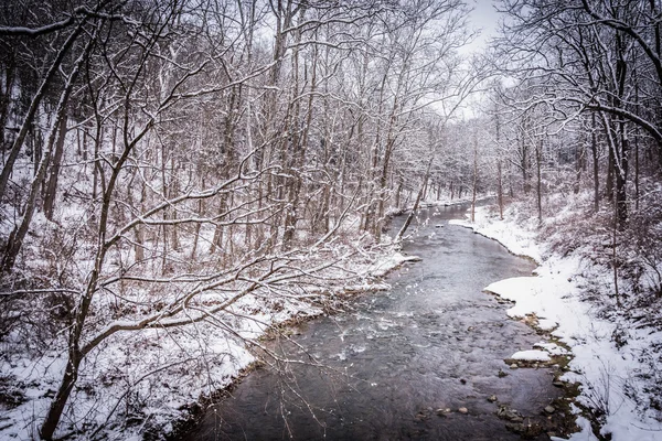 Vinter udsigt til Gunpowder Falls i landdistrikterne Baltimore County, Maryla - Stock-foto