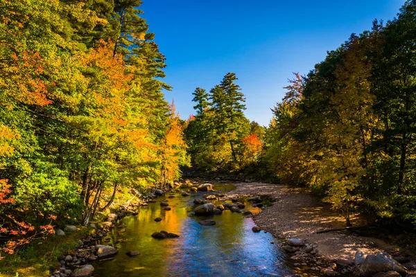 Počátkem podzimu barva podél řeky Swift v Conway, nové Hampshir — Stock fotografie