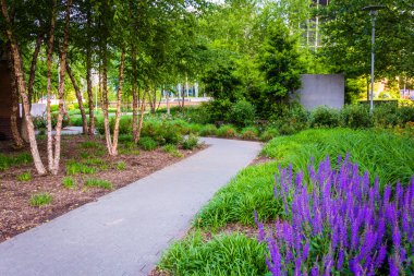 Bahçe ve yol içinde Baltimore, Maryland.