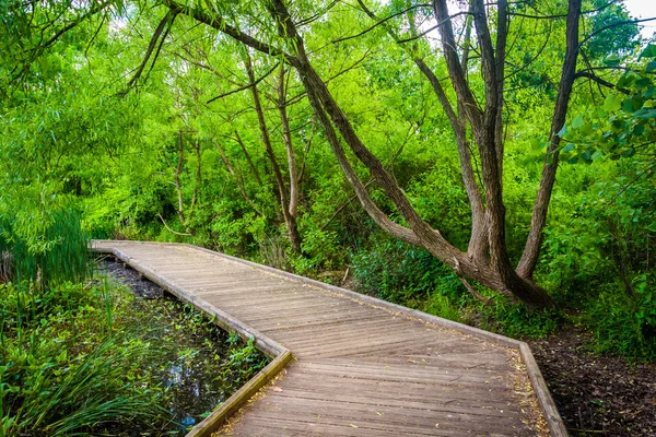 Boardwalk trail at Patterson Park, Baltimore, Maryland. — Stock Photo, Image
