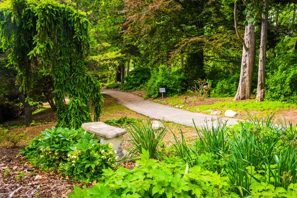 Percorso e panchina a Cylburn Arboretum, Baltimora, Maryland . — Foto Stock