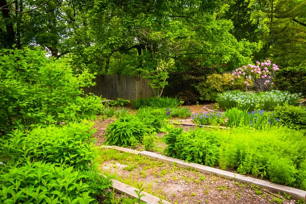 Jardines en Cylburn Arboretum en Baltimore, Maryland . — Foto de Stock