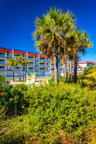 Palm trees and a hotel at Tybee Island, Georgia. — Stock Photo, Image