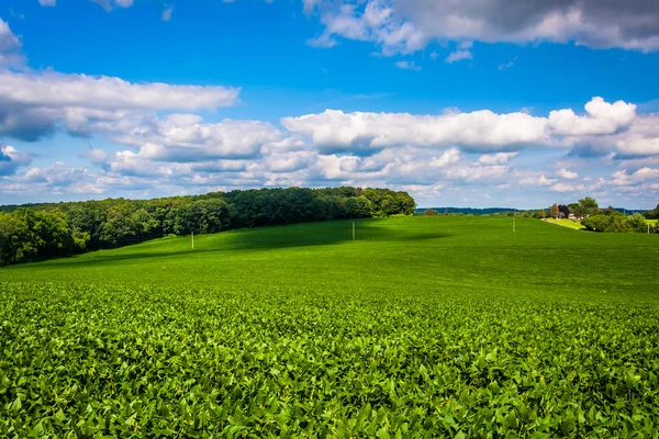 View of farm fields and rolling hills in rural Baltimore County, — Stock Photo, Image