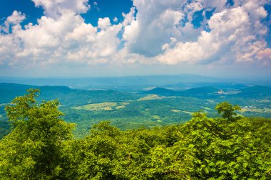 Güney marshall, appalachian iz içinde shenand boyunca gelen görüntüleme