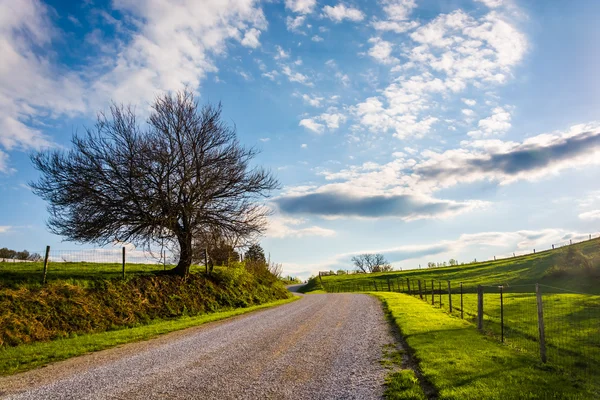 Campos agrícolas a lo largo de un camino de tierra en el condado rural de York, Pennsylvania —  Fotos de Stock