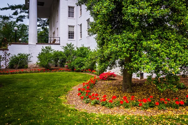 Květiny, stromy a budovy na Gettysburg College, Gettysburg, Pe — Stock fotografie