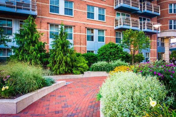 Jardín y edificio a lo largo de una pasarela en Battery Wharf en Boston , — Foto de Stock