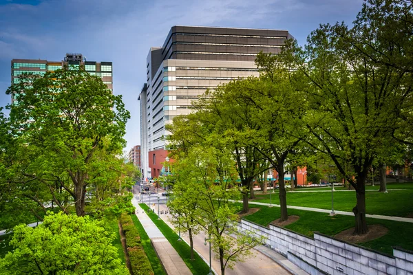 Árboles y edificios vistos desde el Complejo del Capitolio en Harrisburg , — Foto de Stock