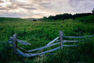çit ve alan boyunca Kuzey Carolina blue ridge parkway. 
