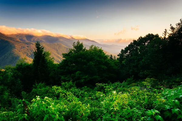 Вид на Blue Ridge при сходом сонця, видно з Mt. Mitchell Overlo — стокове фото