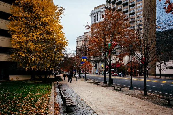 Épületek mentén, Benjamin Franklin Parkway, Philadelphia, Penns — Stock Fotó