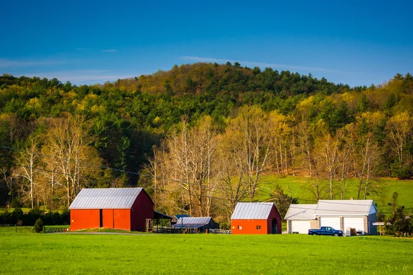 Widok na farmie w wiejskich Shenandoah Valley w stanie Wirginia. — Zdjęcie stockowe