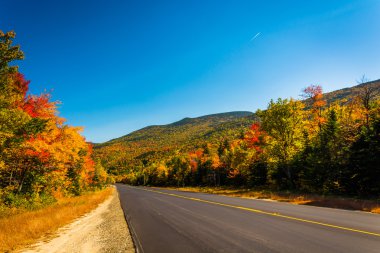 Yeni bir yol White Mountain Ulusal Ormanı boyunca sonbahar renk