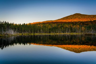 Mount White Mountain ulusal bir su birikintisi yansıtan aldatma 