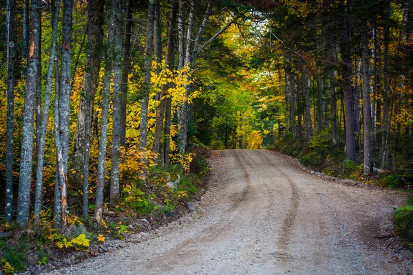 ホワイト マウンテン国有森林で未舗装の道路に沿って紅葉 — ストック写真