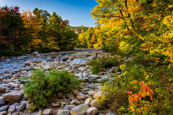 Herbstfärbung entlang des schnellen Flusses, in weißer Bergfarbe — Stockfoto