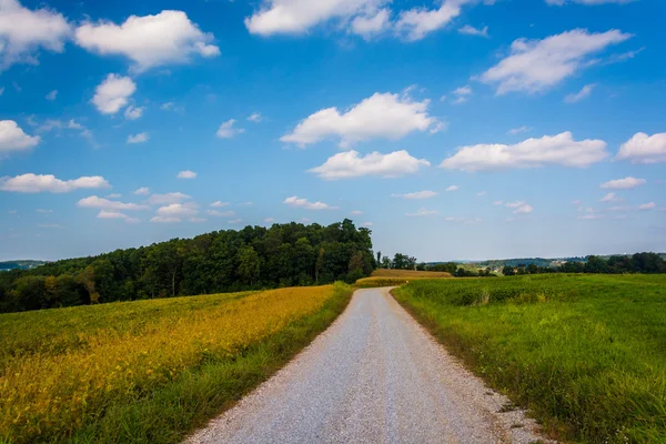 Molnig himmel över en grusväg och gård fält på landsbygden york county — Stockfoto