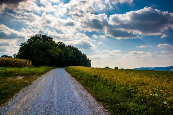 Bewolkte hemel over een onverharde weg en boerderij velden in landelijk gezien onder york county — Stockfoto