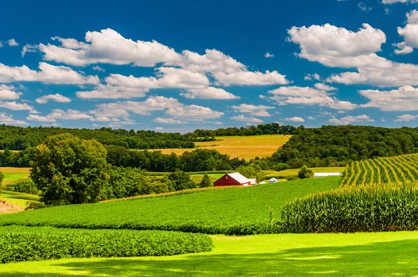 Farm fields and rolling hills in rural York County, Pennsylvania — Stock Photo, Image