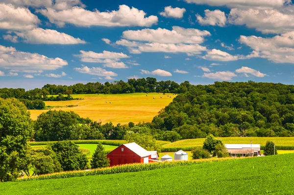 Farm fields and rolling hills in rural York County, Pennsylvania — Stock Photo, Image