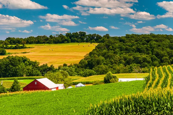 Zemědělská pole a zvlněné kopce ve venkovských york county, Pensylvánie — Stock fotografie
