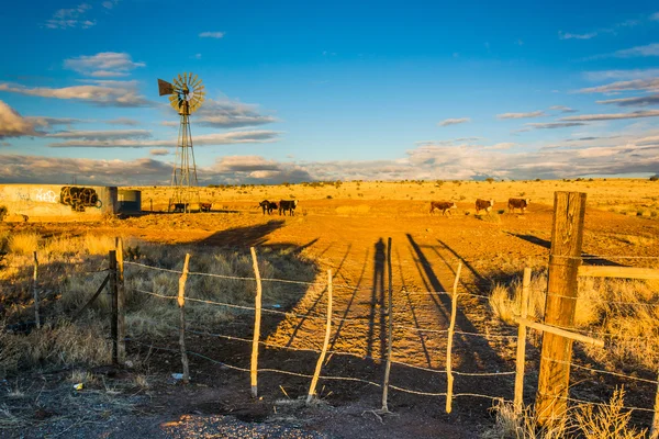 Evening light on a farm near Albuquerque, New Mexico. — Stock Photo, Image