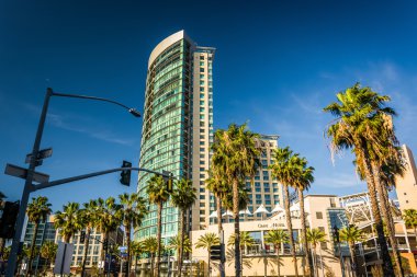 Palmiye ağaçları ve gökdelen San Diego, California.