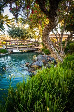 Seaport Village, San Diego, Kaliforniya'da gölette.