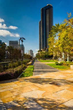 Gökdelen ve Mlk Promenade, San Diego, Kaliforniya.