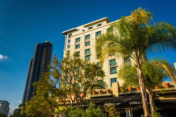 Palm trees and buildings in San Diego, California. — Stock Photo, Image