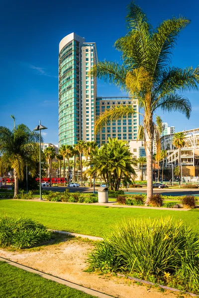 Palm trees and skyscraper in San Diego, California. — Stock Photo, Image