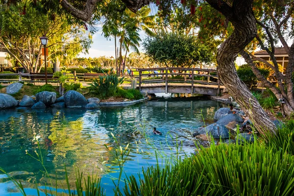 Pond at the Seaport Village, in San Diego, California. — Stock Photo, Image