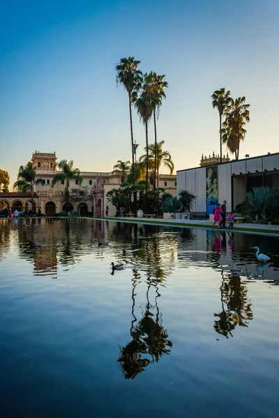 Palmy, odzwierciedlające w Lily Pond, w Balboa Park, d-San — Zdjęcie stockowe