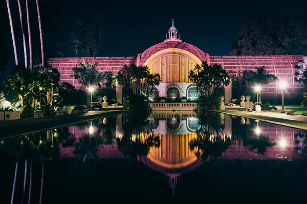 夜、睡蓮の池に反映した植物園 — ストック写真