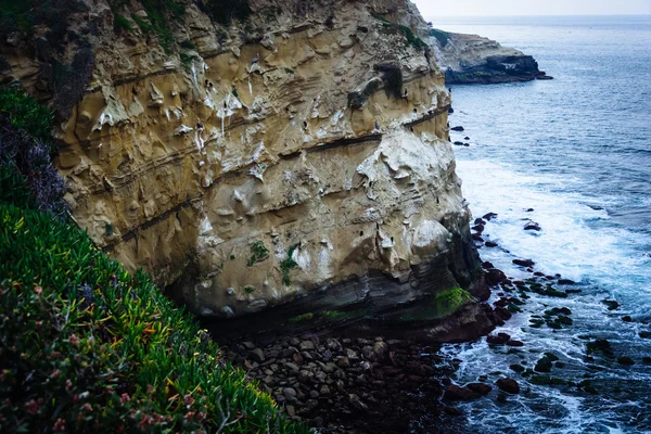 Acantilados a lo largo del Océano Pacífico, en La Jolla, California . — Foto de Stock