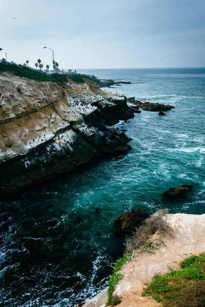 Scogliere lungo l'Oceano Pacifico, a La Jolla, California . — Foto Stock