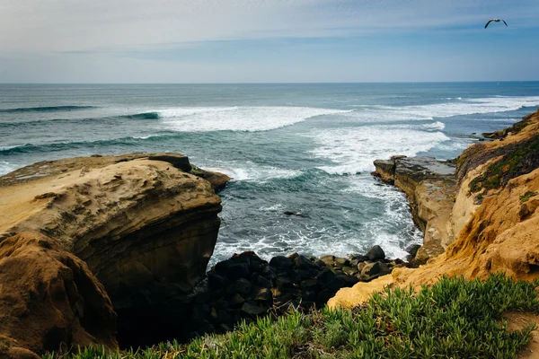 Acantilados a lo largo del Océano Pacífico en el Parque Natural Sunset Cliffs en — Foto de Stock