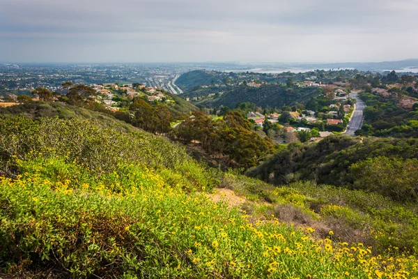 Yellow flowers and view of houses in the hills of La Jolla, from — Stock Photo, Image
