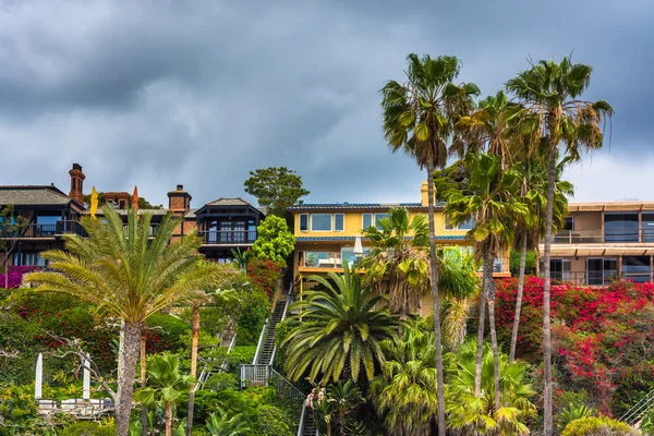 Palmeiras e casas em falésias acima da praia principal em Corona d — Fotografia de Stock